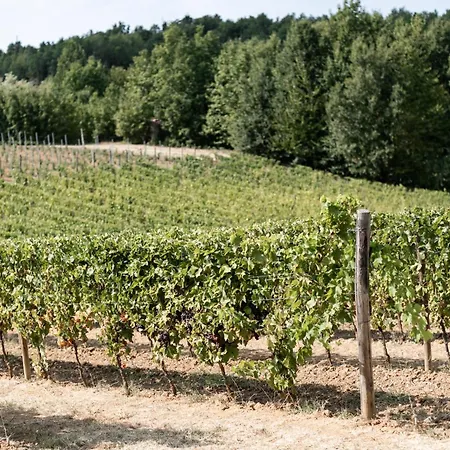 Вилла Cascina Bella Relais